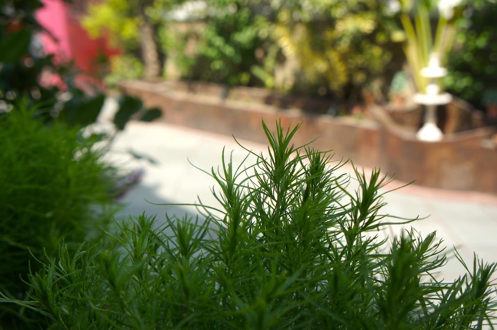 Sirohi House New Delhi Extérieur photo
